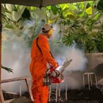 TREATMENT FOGGING 