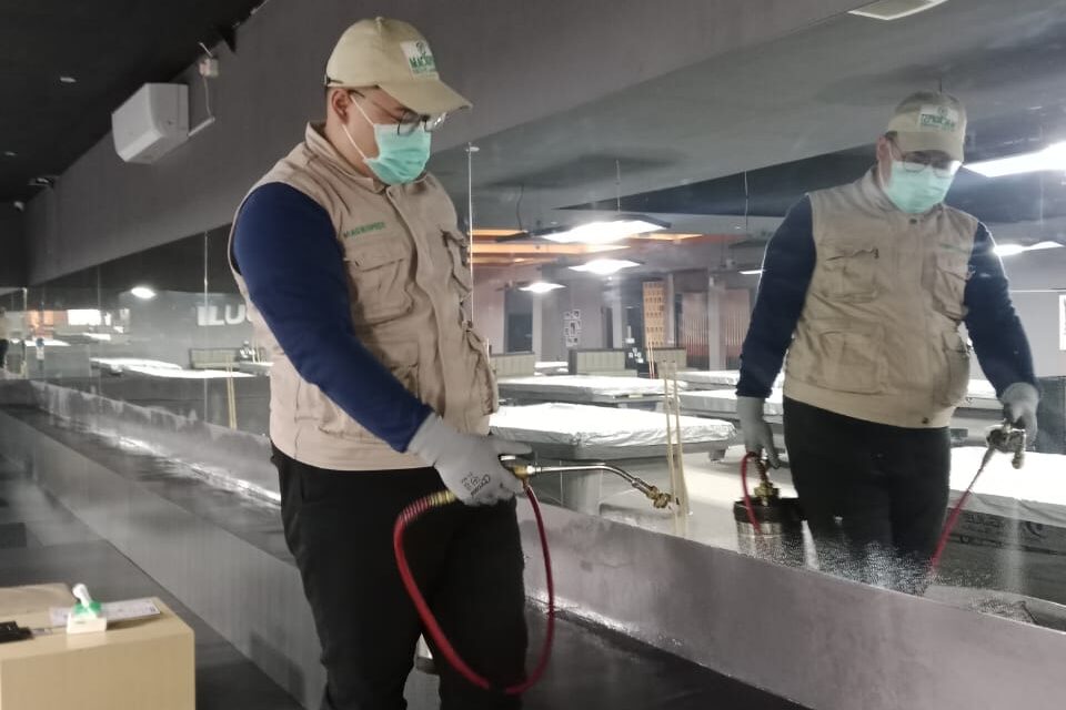 jasa pembasmi hama Bandung