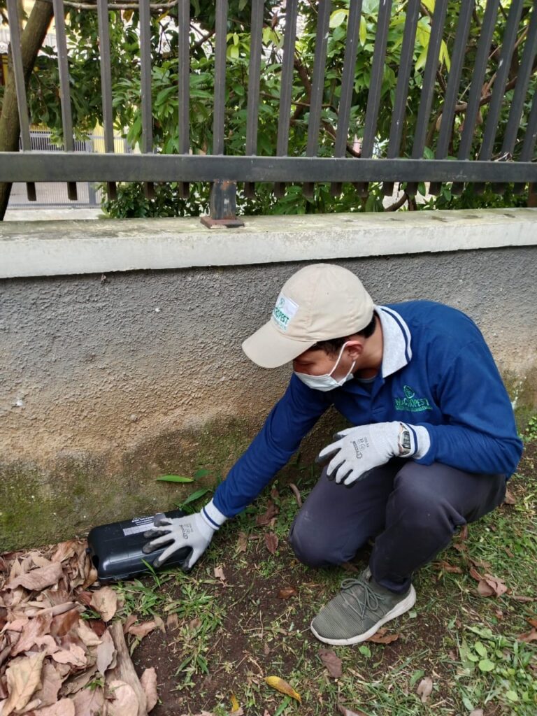 Pest control