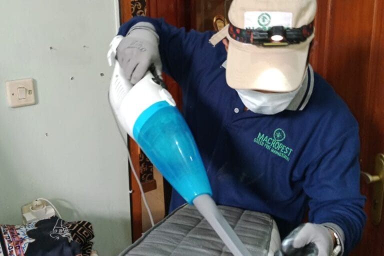 jasa pembasmi kutu kasur bandung