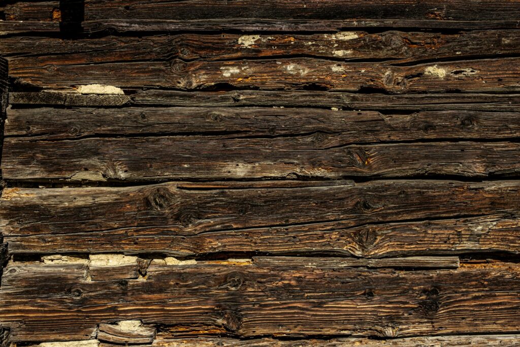 a close up of a wall made of wood rayap