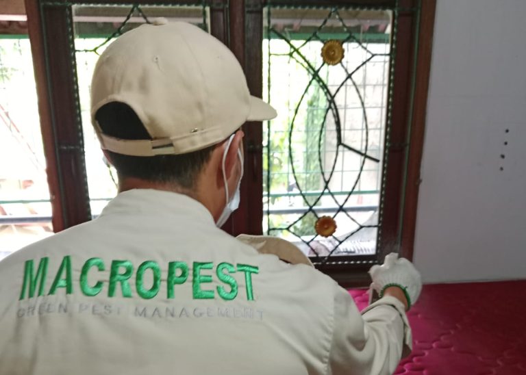 Pest Control