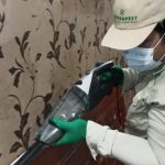 pest control