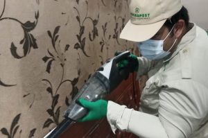 pest control