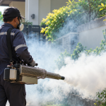 fogging nyamuk