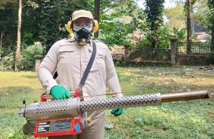jasa pest control