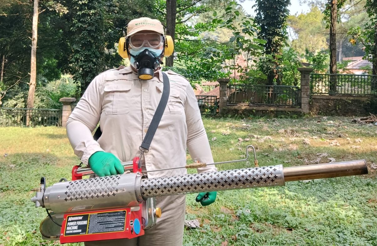 jasa pest control