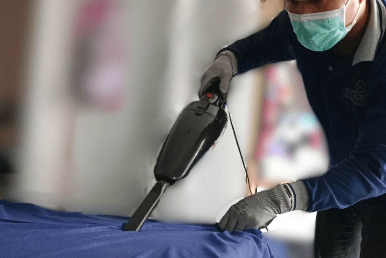 Pembasmian Kutu Kasur by Macropest