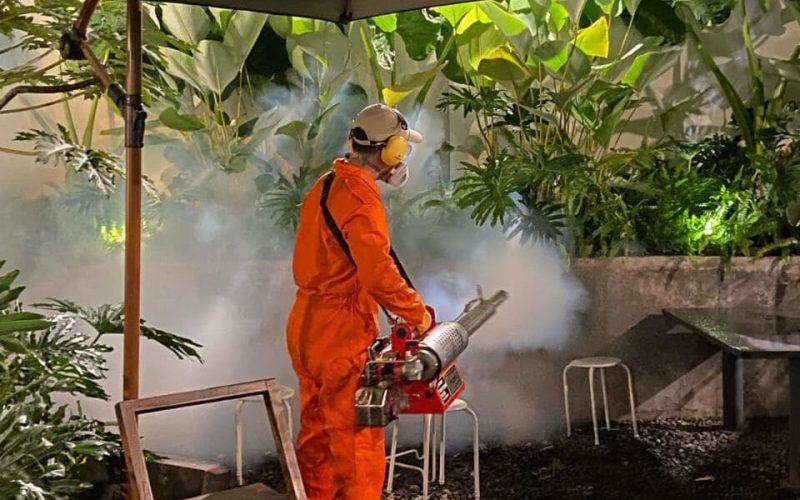 WhatsApp-Image-2024-06-27-at-08.43.25